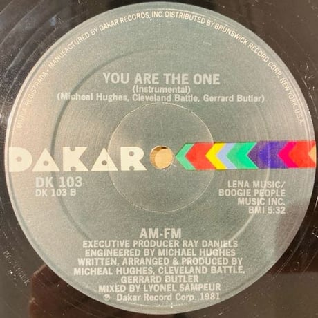 AM - FM / You Are The One