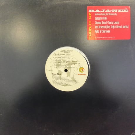 Raja-Nee / Turn It Up