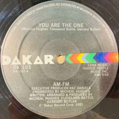 AM - FM / You Are The One