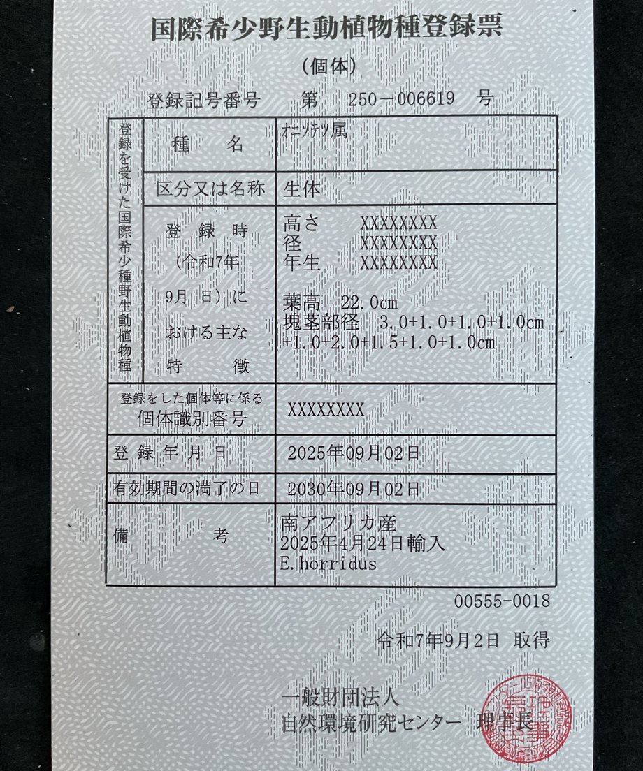 69c516fa52cef918a71ad707