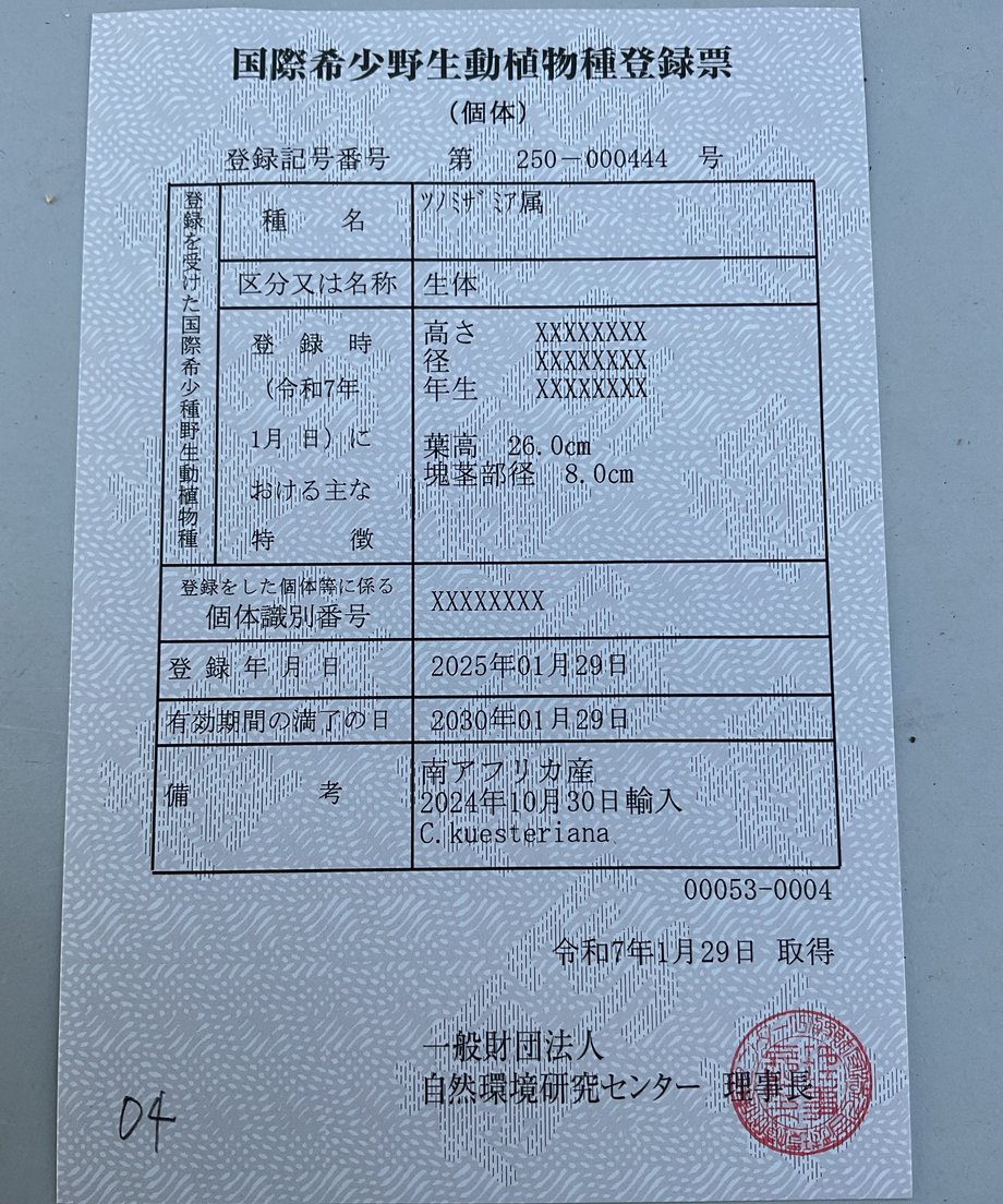 67adbe48d4795e04e0d2d203
