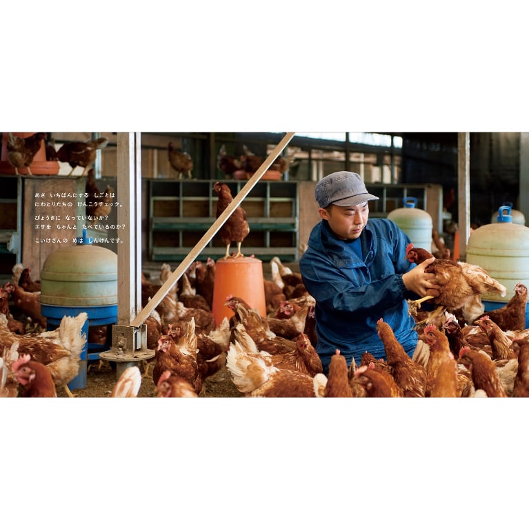 たいせつなたまご』キッチンミノル（白泉社） | テキサスブックセラーズ