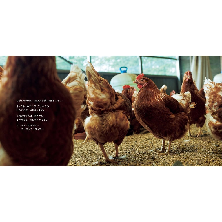 たいせつなたまご』キッチンミノル（白泉社） | テキサスブックセラーズ