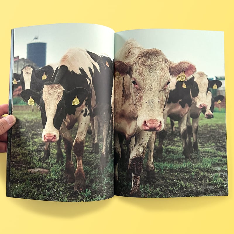 The Dairy Farm 〜a day〜 | テキサスブックセラーズ