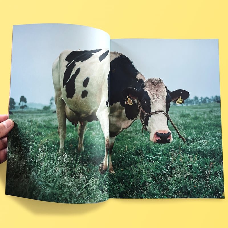 The Dairy Farm 〜a day〜 | テキサスブックセラーズ