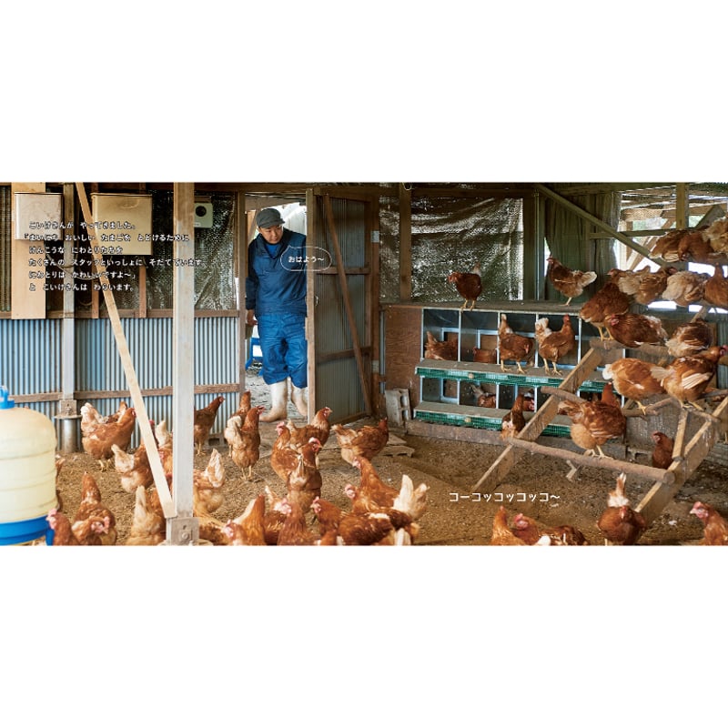 たいせつなたまご』キッチンミノル（白泉社） | テキサスブックセラーズ