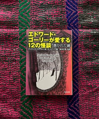 『エドワード・ゴーリーが愛する12の怪談 憑かれた鏡』(古本)
