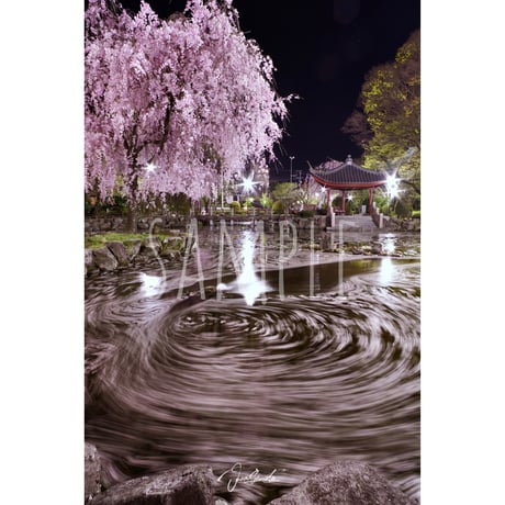 Tele 詩の形 花筏 花筏」 #tele - YouTube