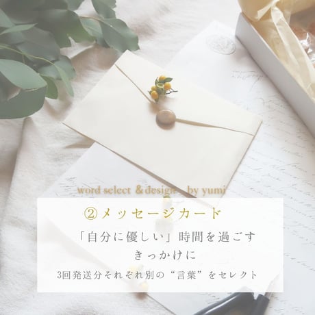 【送料無料】ポストに届くLetter Cookies＋plus12月発送