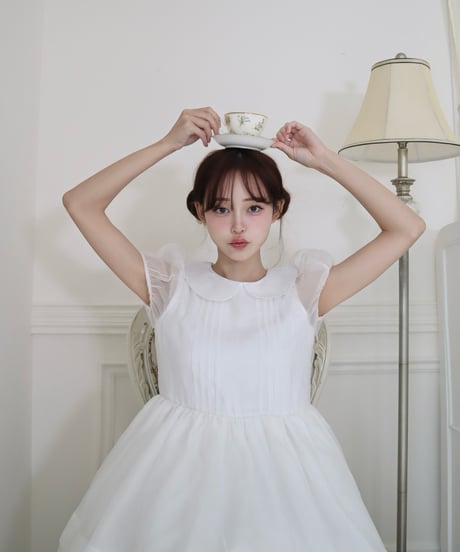 Round collar fairy organza dress