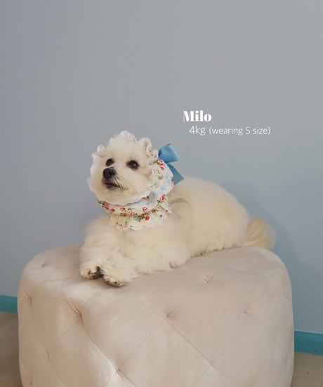 【予約商品🍰(3月中旬発送)】LW cottage bloom “with my little world”