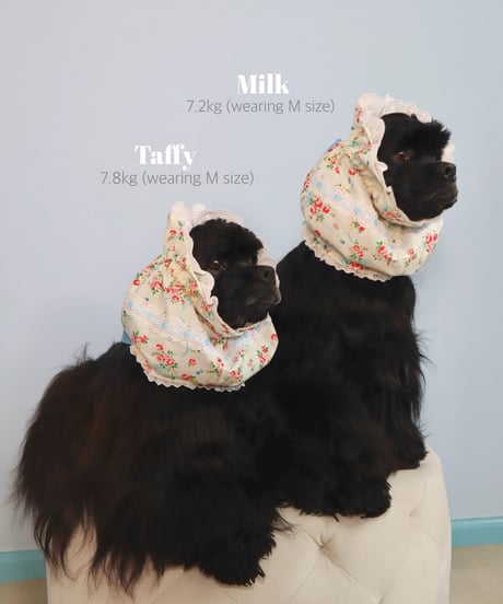 【予約商品🍰(3月中旬発送)】LW cottage bloom “with my little world”