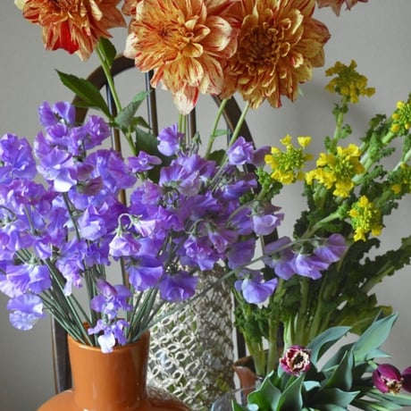 季節のお花の定期便（店頭お引き取りご希望のお客さま）