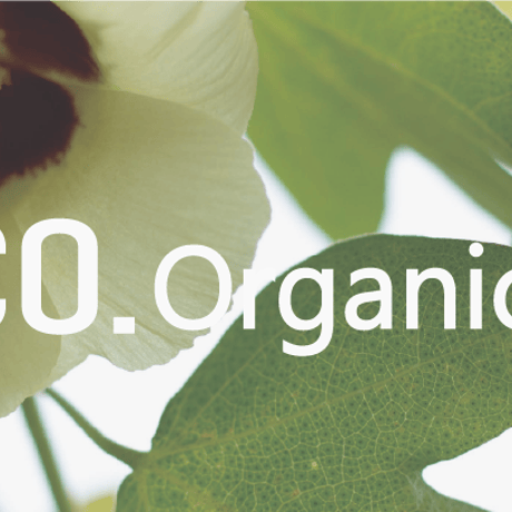 限定数量・オーガニックコットンベーシックワッチ”CO.ORGANICエディション　２色展開