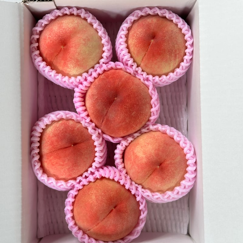 桃 奥あかつき 2kg箱（6〜8個入り） 8/1〜出荷予定 | 渋谷農園