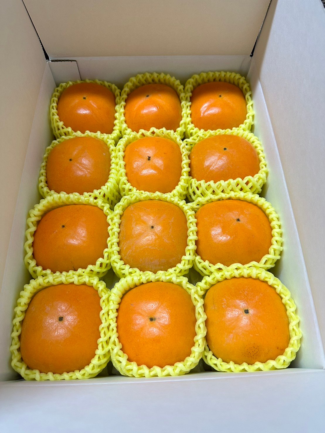 平核無柿 樹上脱渋 12個入り 11/1〜出荷予定 | 渋谷農園