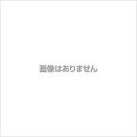 LS-400-ETS15 アネスト岩田(ANEST IWATA) スプレーガン
