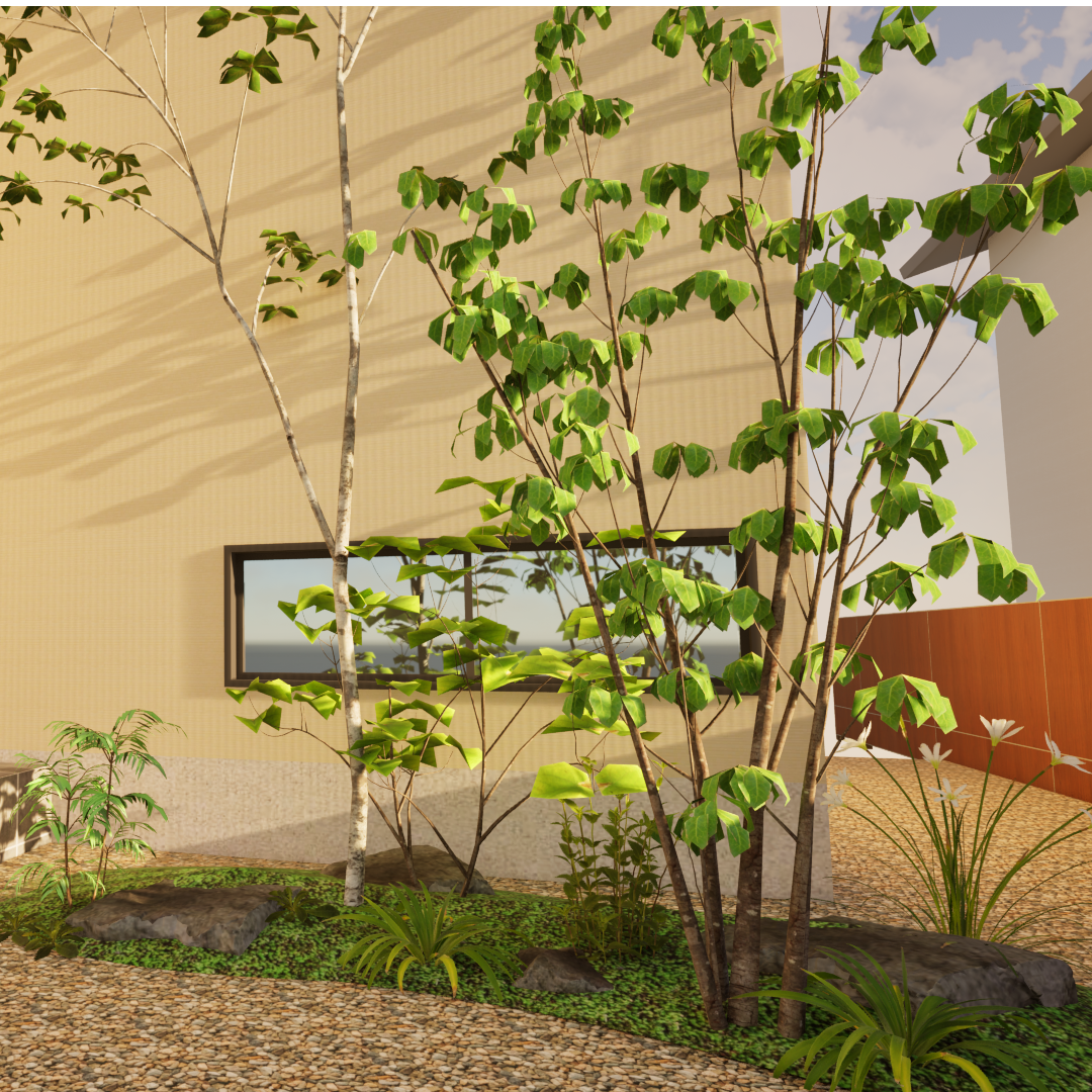ヤマボウシ株立ち3Dモデル/H3.0 | S-PLANTS