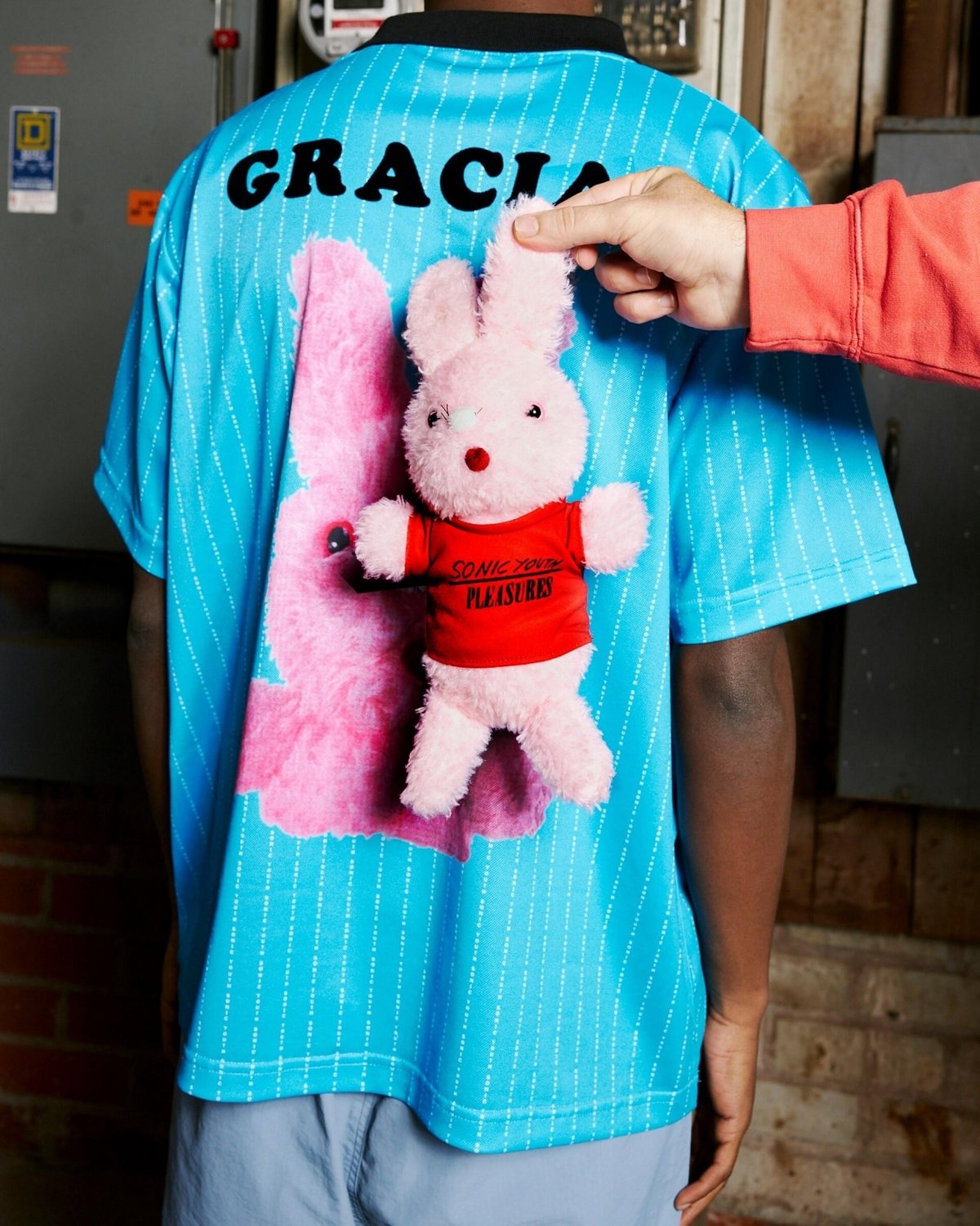 PLEASURES/プレジャーズ×Sonic Youth/ソニック・ユース】BUNNY FU