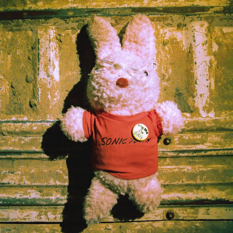 PLEASURES SONIC YOUTH ピンク ウサギ ぬいぐるみ PLEASURES/プレジャーズ×Sonic Youth/ソニック・ユース】BUNNY FU