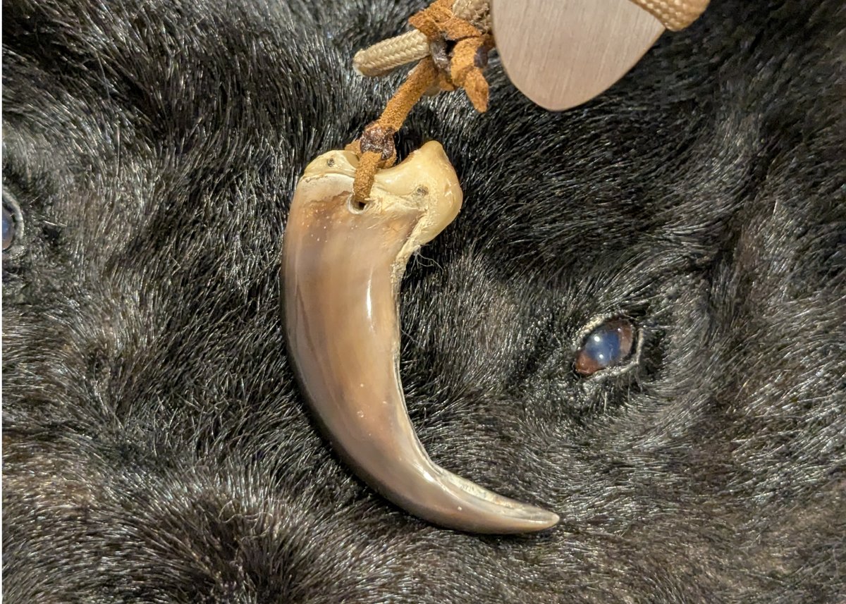 ウルファルファ【超軽量】サテン仕上げ 熊の爪付き | **Blade Heritage**