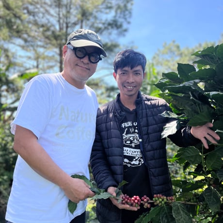 【送料無料】【焙煎豆】300g～1kg　DAR FARM　Dung（ユン）さんのアラビカ　カティモール　アナエロビック　Natural