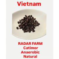 【送料無料】【焙煎豆】300g～1kg　DAR FARM　Dung（ユン）さんのアラビカ　カティモール　アナエロビック　Natural