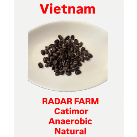【送料無料】【焙煎豆】300g～1kg　DAR FARM　Dung（ユン）さんのアラビカ　カティモール　アナエロビック　Natural