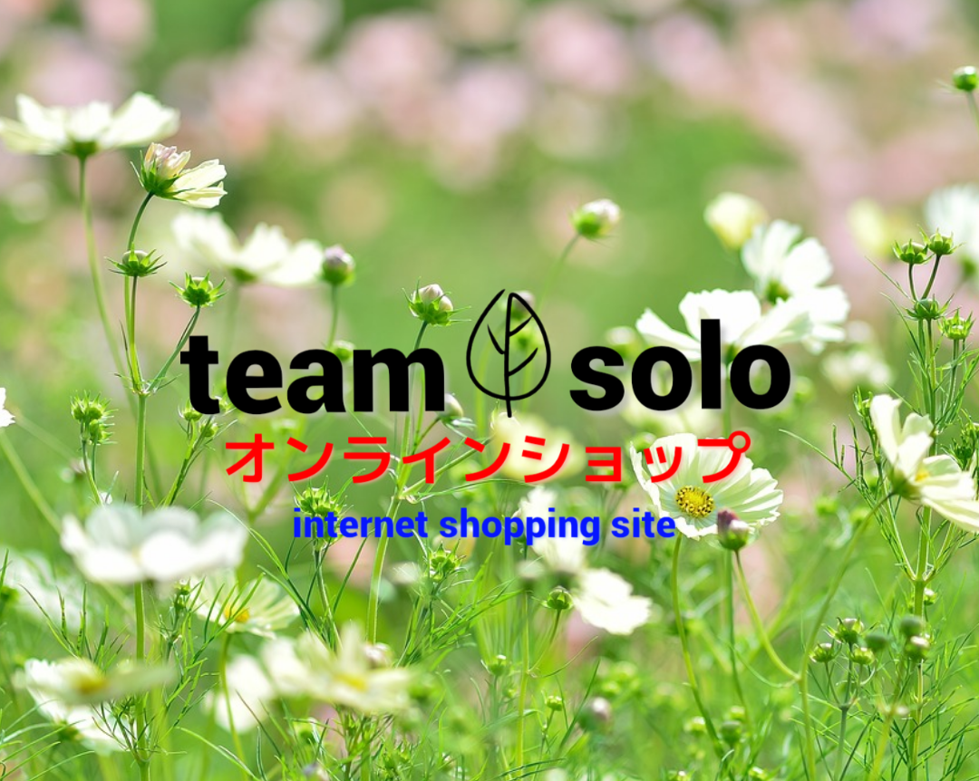 team  solo  オンラインショップ