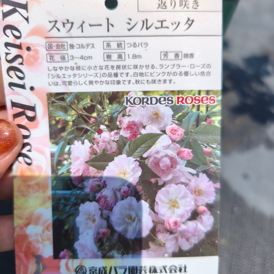 6a13e9783b83cf1ab875a4ce