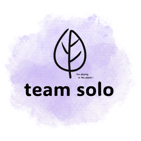2025ver　teamsolo　オリジナルTシャツ【パープル】