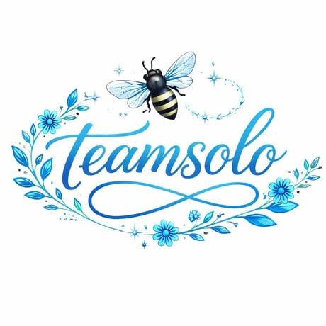 2026年team soloオリジナルＴシャツ　白✕ブルー🐝