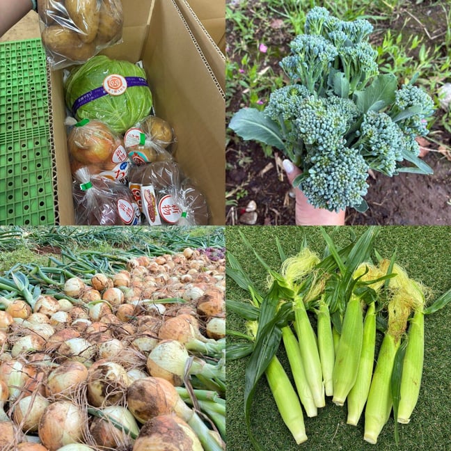 田中山『ろっぽう野菜』 田中山『ろっぽう野菜』