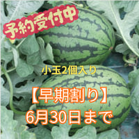 【早期割り】小玉スイカ(2個入)