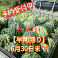 【早期割り】大玉スイカ(4L)