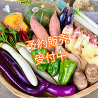 ろっぽう野菜セット【Sサイズ】