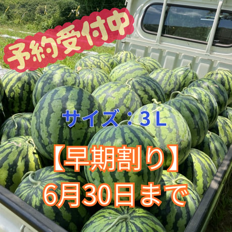 【早期割り】大玉スイカ(3L)