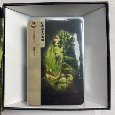 フォレストシャッフル 実地調査 (Forest Shuffle Exploration) / ホビージャパン 日本語版