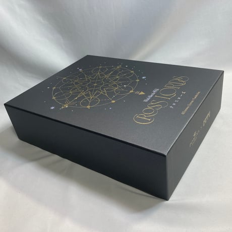 【本体非同梱版 スリーブ欠品】 クロスローズ コレクターズボックス (Cross Lords Collector’s Box) / DOMINA GAMES