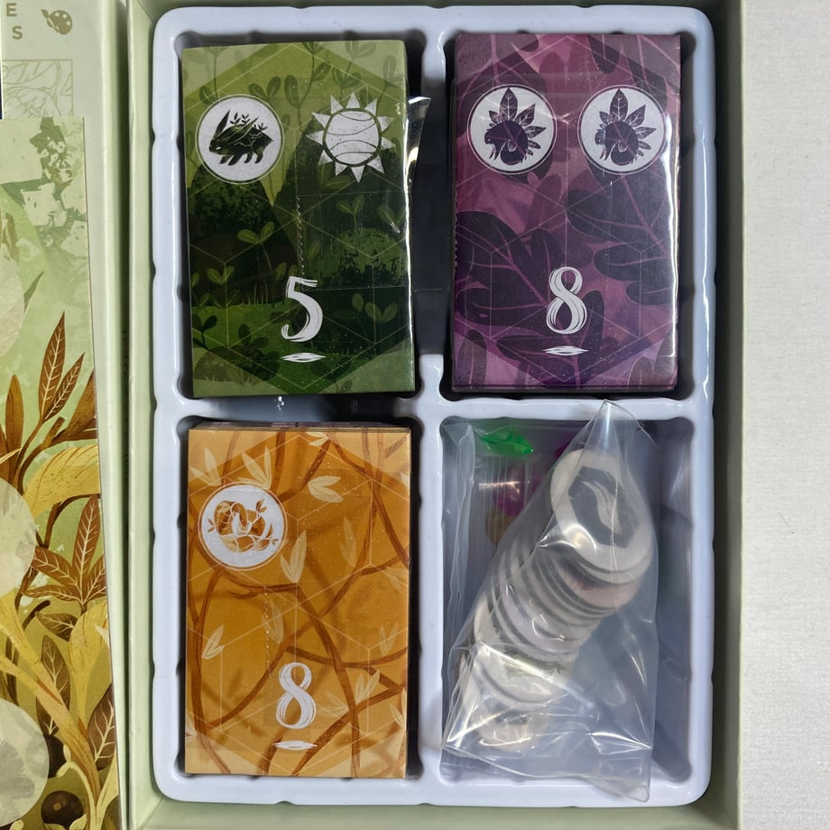 673589aa4fb49008e925e6c0