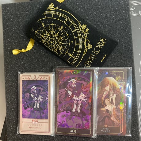 【本体非同梱版 スリーブ欠品】 クロスローズ コレクターズボックス (Cross Lords Collector’s Box) / DOMINA GAMES