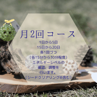 心のメンテナンス　月2回コース