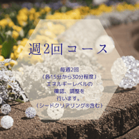 心のメンテナンス　週2回コース