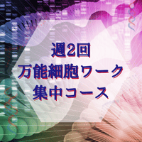 週2回　万能細胞ワーク集中コース