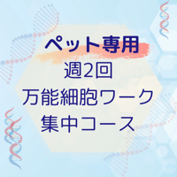 ペットちゃん専用　万能細胞ワーク　サブスクになります。
