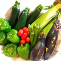 【新鮮！】野菜セットM（2~3人前)