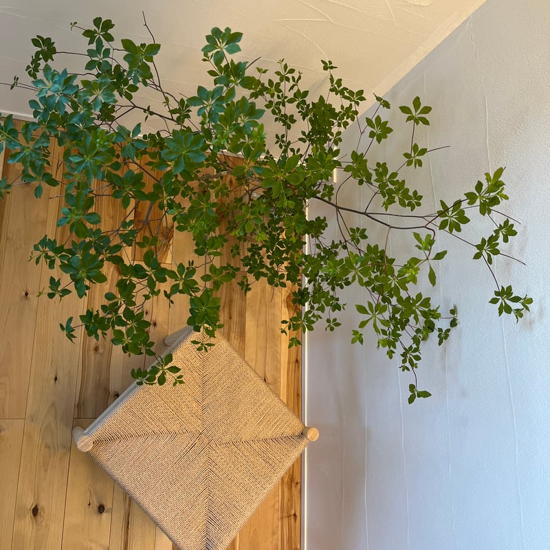 ペーパーコードスツール　SHIKAKU ペーパーコードキッズチェアSHIKAKU-mini（正方形)/ 子供用