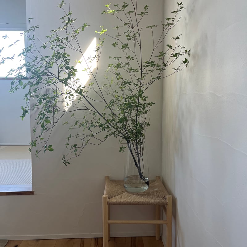 ペーパーコードスツール　SHIKAKU ペーパーコードスツール-正方形-SHIKAKU | SHIKAKU