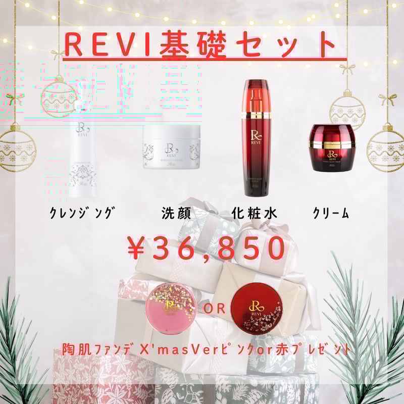 REVI基礎セット | Privatesalon HRK