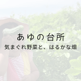 あゆの台所